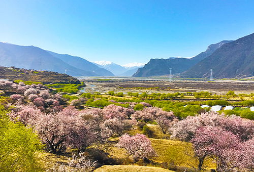 2c92808684432822018634d7b84547a9