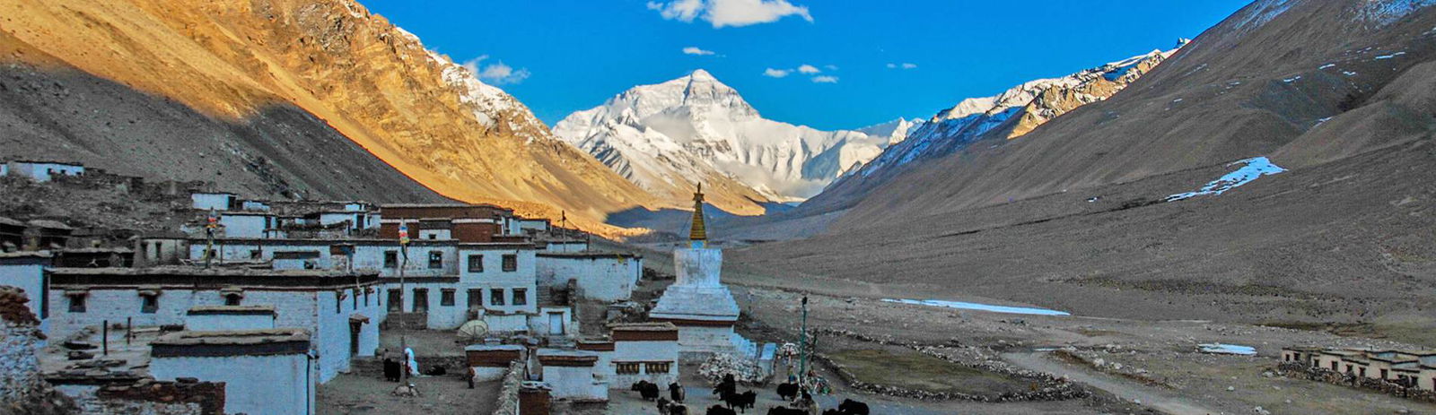 2c92808d76b2d69a0176b622b1e51be1