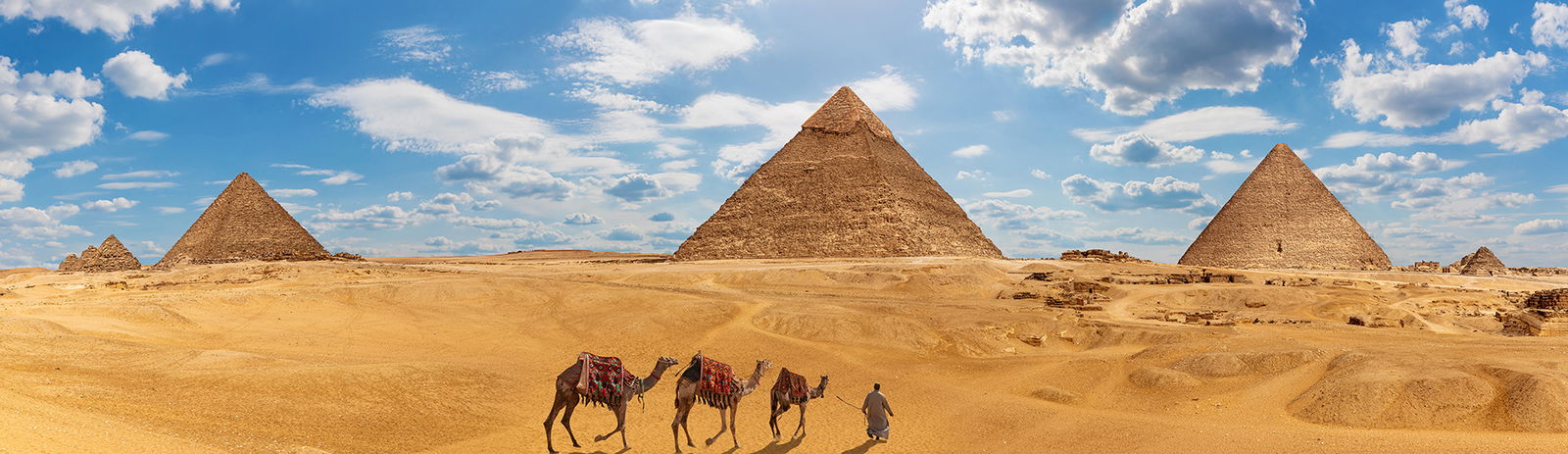 2c928084786dbf78017c33f06f8b7e0c-2