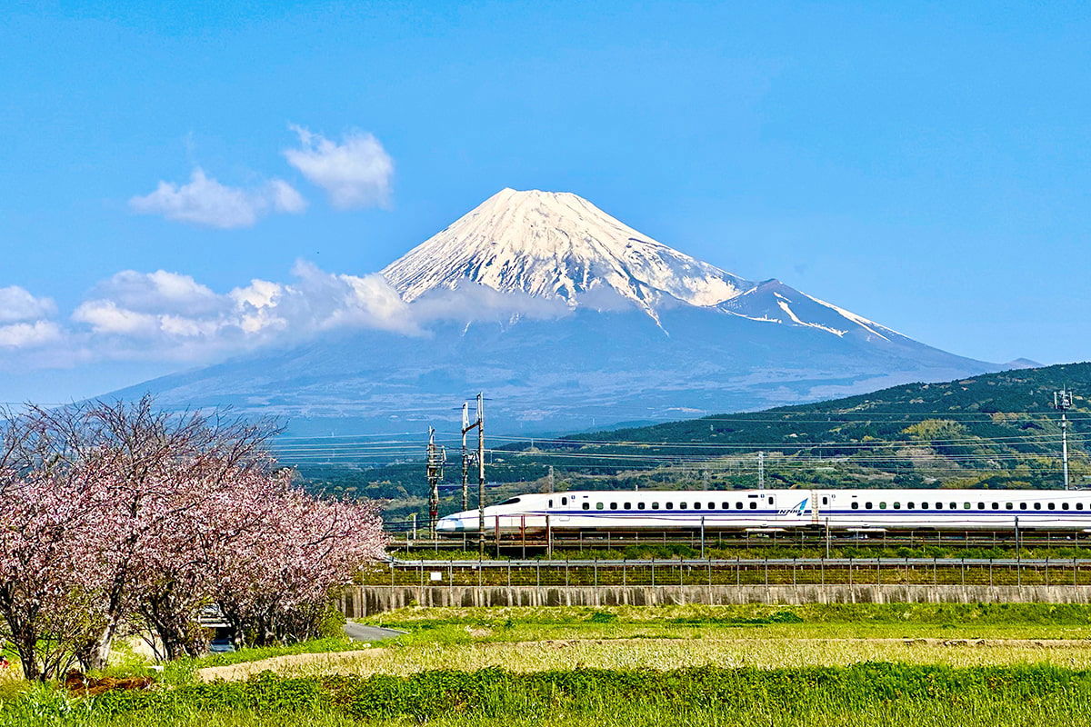 2c92808494e3718801950302f63d0289