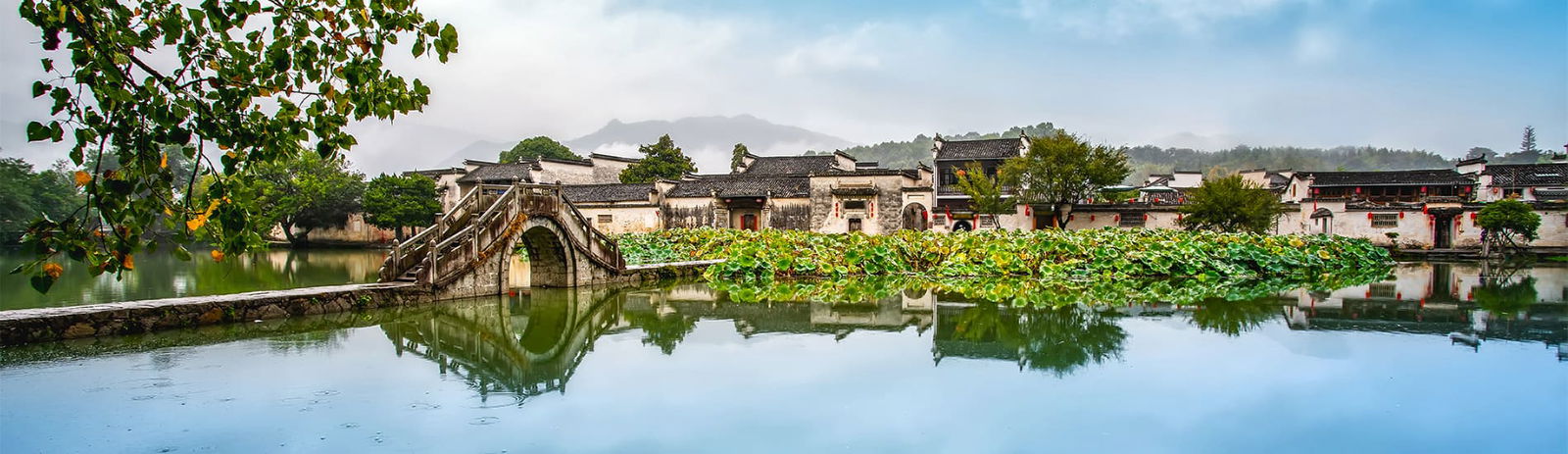 2c92808687151859018717fab66316c0-1