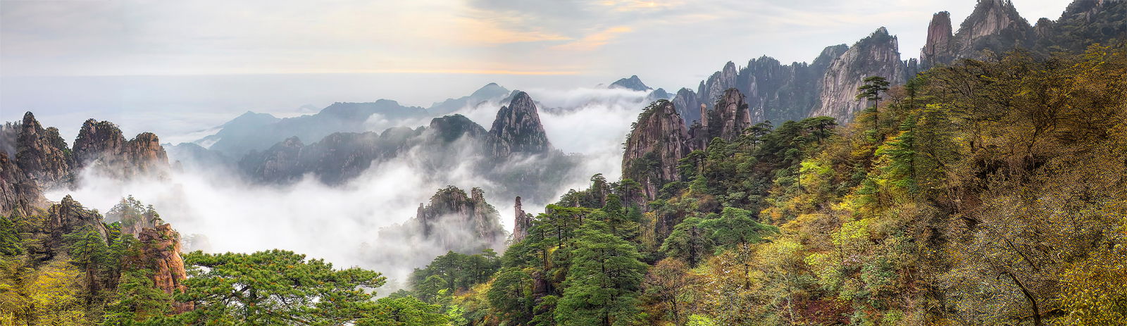 2c9280869072b38c0190de57d77505cb-1