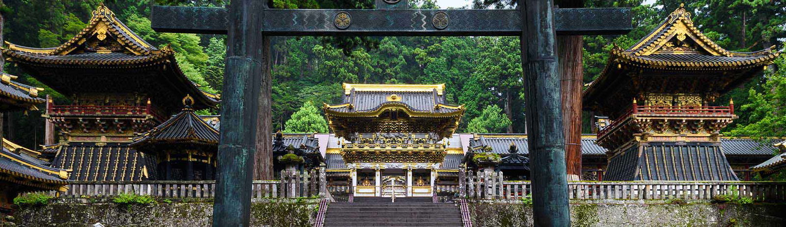 2c92808a77d63edb0177d7cc8aad332d-3