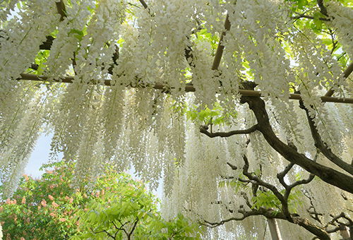 2c92808a77d63edb0177d803a89541b5