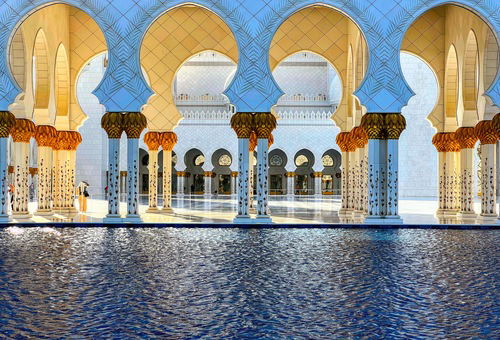 2c9280847f46d430017fbdd0e44b5ec3-1