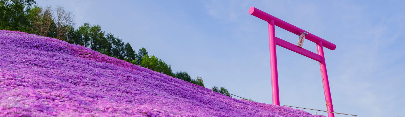 Hokkaido: Thiên nhiên mùa xuân 2025