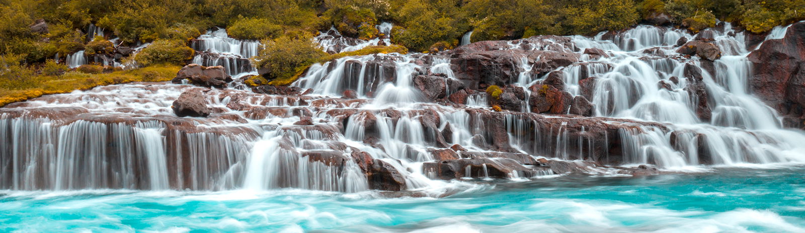 2c92808a774e7d880177502db3570a08