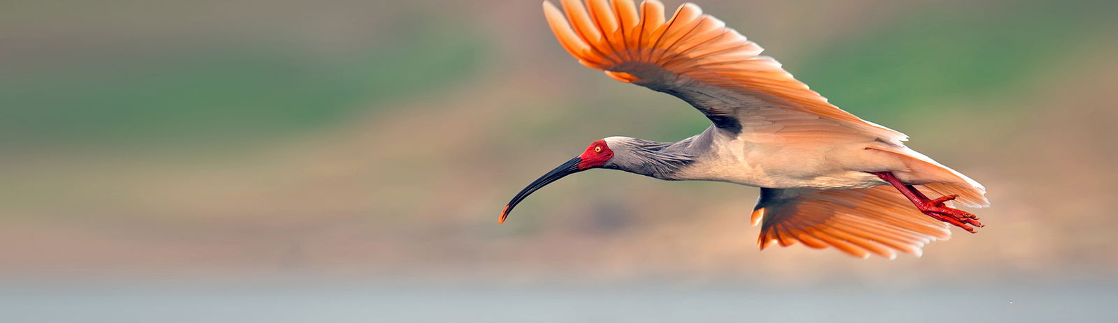 2c92808a77d63edb0177d7d15bee3499