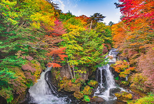 2c92808a77d63edb0177d805f82342cb