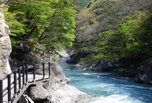 2c92808a77d63edb0177d80c97414459